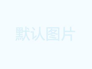 回春花牌减肥茶