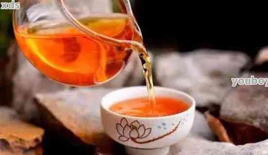 普洱茶的健減肥指南：正確的飲用方法與注意事項(xiàng)