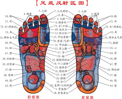 脚底按摩，健康多受益 - klrs693 - klrs693的博客