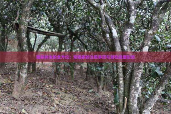 喝茶養(yǎng)生的全方位：常喝茶的注意事項(xiàng)與潛在健康影響