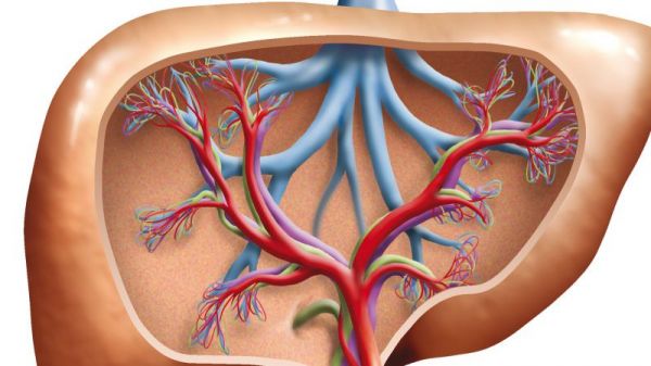 人一天的基础代谢是多少