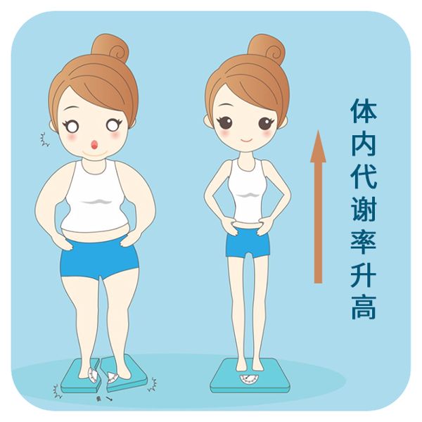 基礎(chǔ)代謝率計(jì)算公式是什么