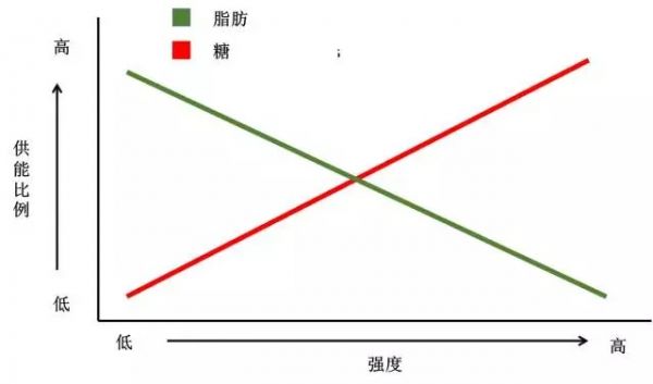 春雨醫(yī)生