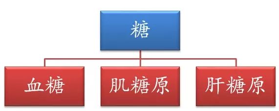 春雨醫(yī)生