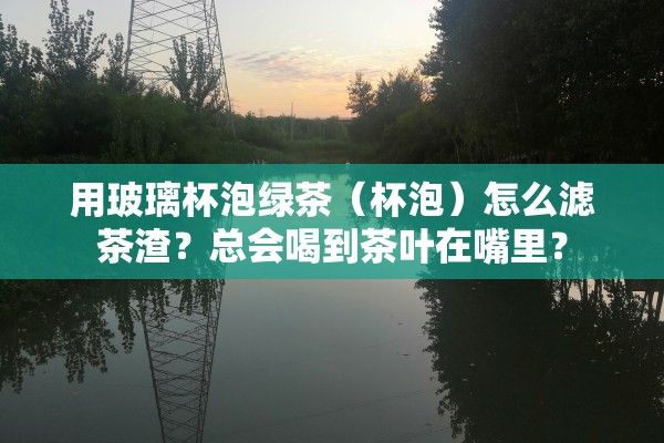 用玻璃杯泡綠茶（杯泡）怎么濾茶渣？總會(huì)喝到茶葉在嘴里？