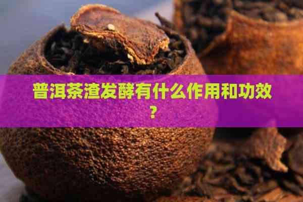 普洱茶渣發(fā)酵有什么作用和功效？