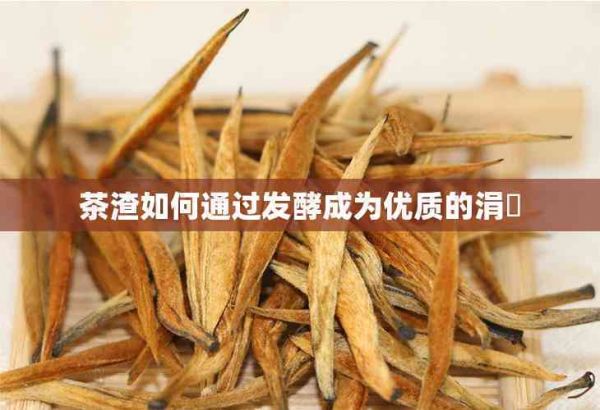 茶渣如何通過發(fā)酵成為優(yōu)質(zhì)的涓嶈