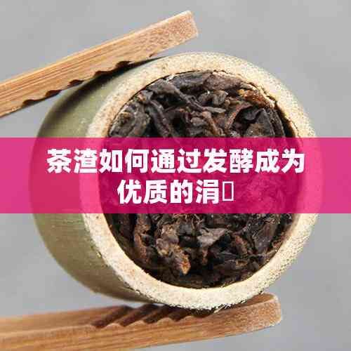 茶渣如何通過發(fā)酵成為優(yōu)質(zhì)的涓嶈