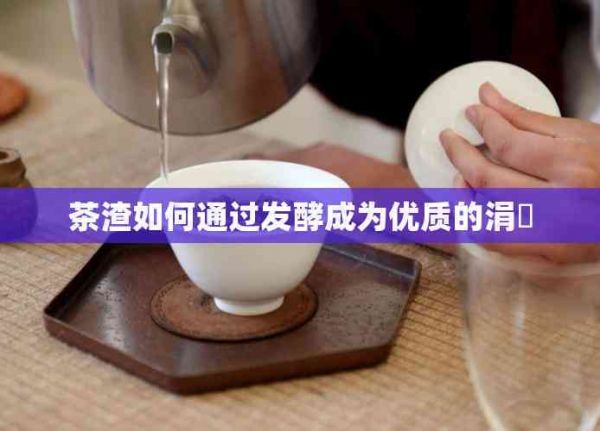 茶渣如何通過發(fā)酵成為優(yōu)質(zhì)的涓嶈