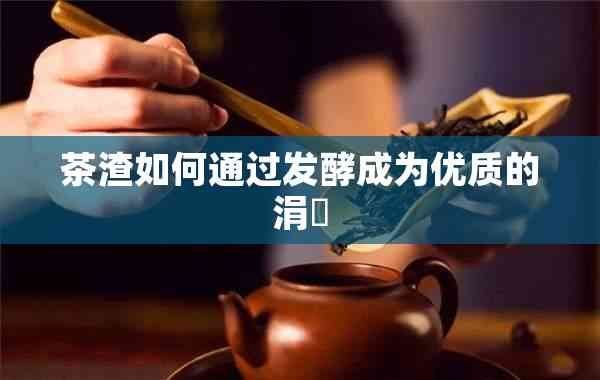 茶渣如何通過發(fā)酵成為優(yōu)質(zhì)的涓嶈
