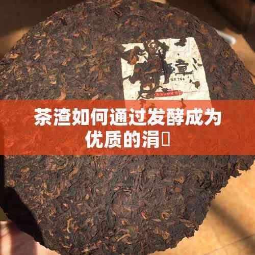 茶渣如何通過發(fā)酵成為優(yōu)質(zhì)的涓嶈