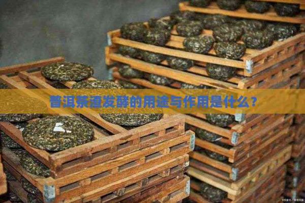 普洱茶渣發(fā)酵的用途與作用是什么？