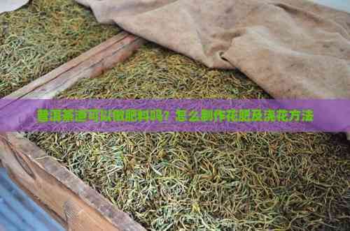 普洱茶渣可以做肥料嗎？怎么制作花肥及澆花方法