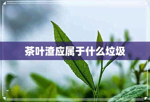 茶葉渣應(yīng)屬于什么垃圾