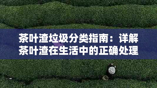 茶葉渣垃圾分類指南：詳解茶葉渣在生活中的正確處理方法