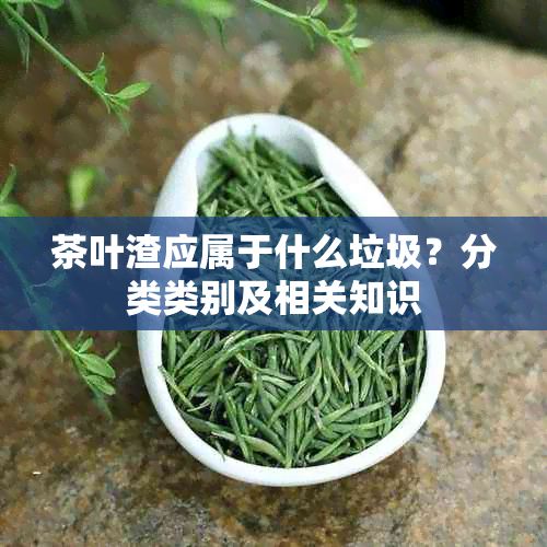 茶葉渣應(yīng)屬于什么垃圾？分類類別及相關(guān)知識