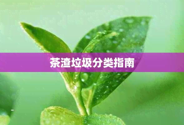 茶渣垃圾分類指南