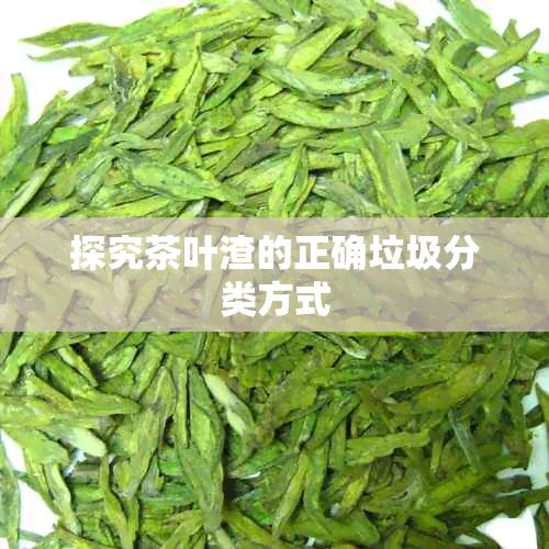 探究茶葉渣的正確垃圾分類方式