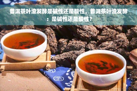 普洱茶葉渣發(fā)酵是堿性還是酸性，普洱茶葉渣發(fā)酵：是堿性還是酸性？