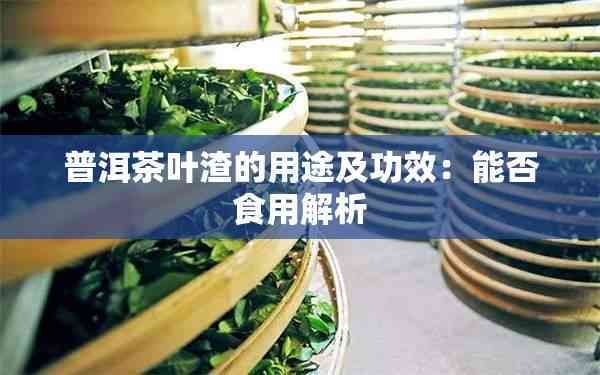 普洱茶葉渣的用途及功效：能否食用解析