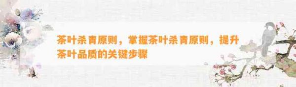 茶葉殺青原則，掌握茶葉殺青原則，提升茶葉品質(zhì)的關(guān)鍵步驟