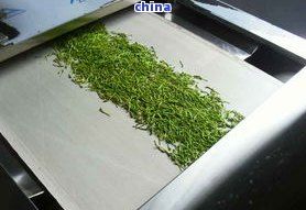 茶葉殺青原則，掌握茶葉殺青原則，提升茶葉品質(zhì)的關(guān)鍵步驟