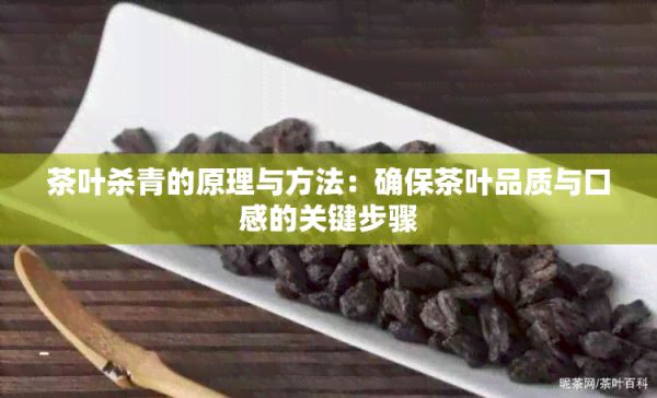 茶葉殺青的原理與方法：確保茶葉品質(zhì)與口感的關(guān)鍵步驟