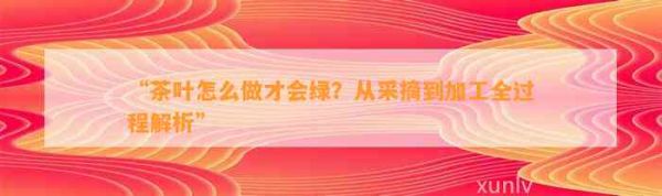 “茶葉怎么做才會綠？從采摘到加工全過程解析”