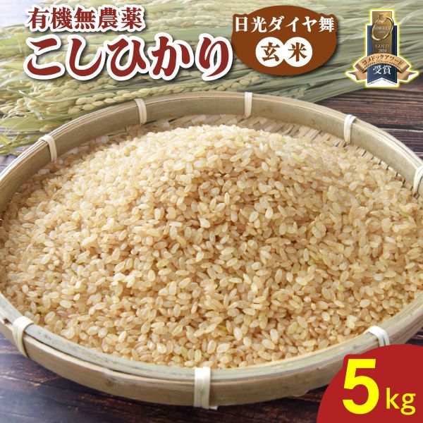 [先行受付] 日光ダイヤ舞【玄米5kg】令和7年度新米 令和7年10月中旬より順次発送｜2025年度米 無(wú)農(nóng)薬玄米 有機(jī)栽培こしひかり JAS有機(jī)転換中 オーガニック コシヒカリ お米 ごはん 國(guó)産 産地直送 日光ダイヤ舞【玄米?雑穀米】特集 [0549]