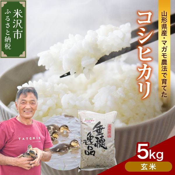 【 令和7年産 】 コシヒカリ 5kg《玄米》 有機(jī)肥料100% 栽培期間中 農(nóng)薬不使用 2025年産 農(nóng)家直送
