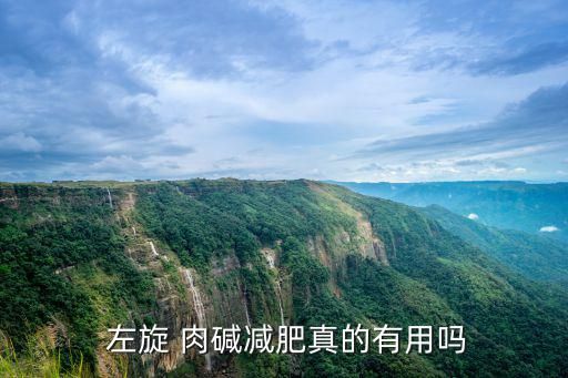  左旋 肉堿減肥真的有用嗎