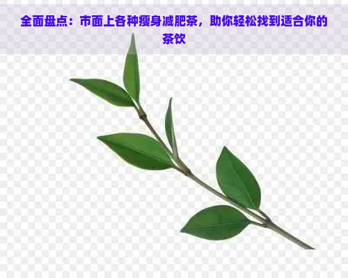 全面盤點(diǎn)：市面上各種瘦身減肥茶，助你輕松找到適合你的茶飲