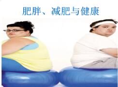 一篇文章告訴你肥胖與健康到底是什么？