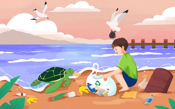 2024年體態(tài)調(diào)整課程內(nèi)容有哪些