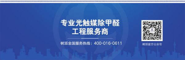 树派环保-专业光触媒除甲醛工程服务商
