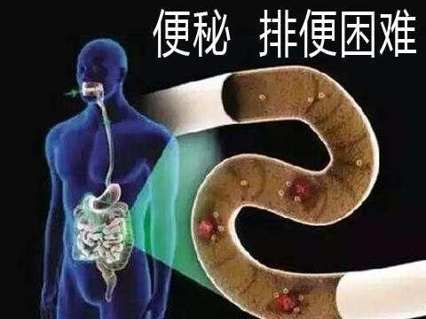 中医诊断学——“观大便，识健康”