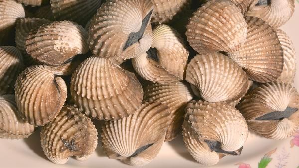 女性調(diào)養(yǎng)身體吃什么中藥好呢