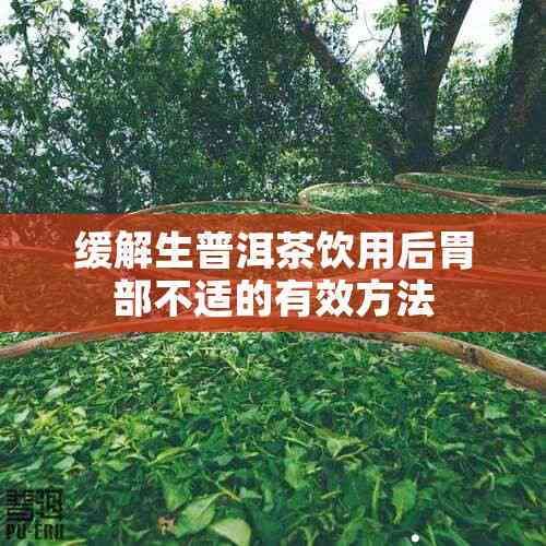 緩解生普洱茶飲用后胃部不適的有效方法