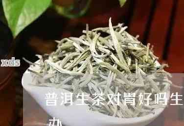 喝生普洱茶胃不服怎么辦，解決喝生普洱茶胃部不適的妙招