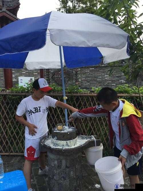 做运动磨豆浆视频：带你领略健康生活的独特魅力