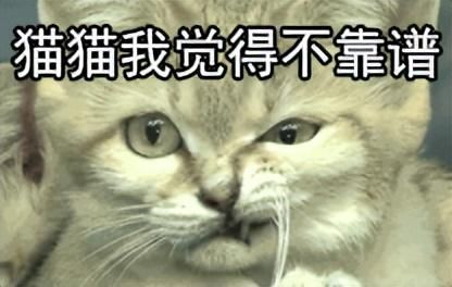 排名前十的瘦腿产品有用吗(瘦腿的产品哪个最有效)插图2