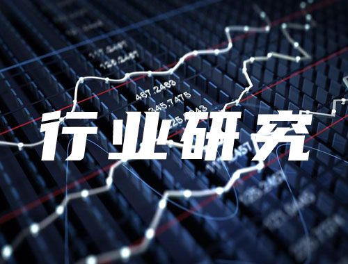 2024年中國心腦血管健康保健食品行業(yè)概覽報(bào)告
