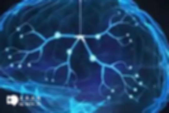家長們要抓住寶寶大腦發(fā)育的四大黃金期，助力寶寶更聰明
