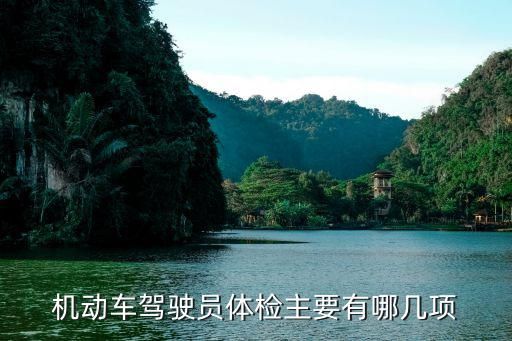 机动车驾驶员体检主要有哪几项