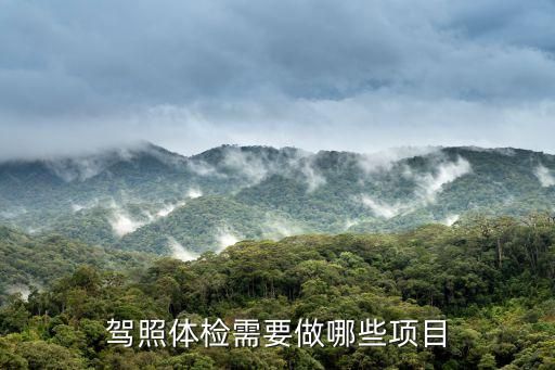 驾照体检需要做哪些项目
