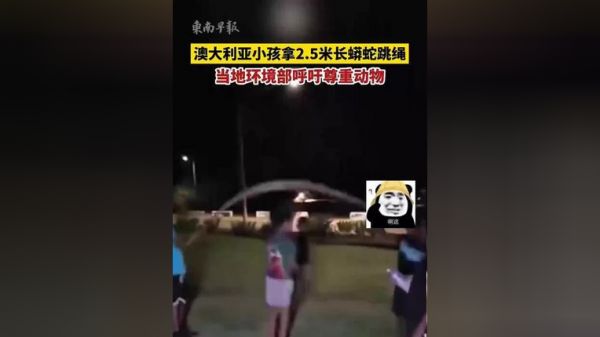 Thumbplayer Poster Plugin Image