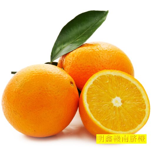 赣南脐橙图片