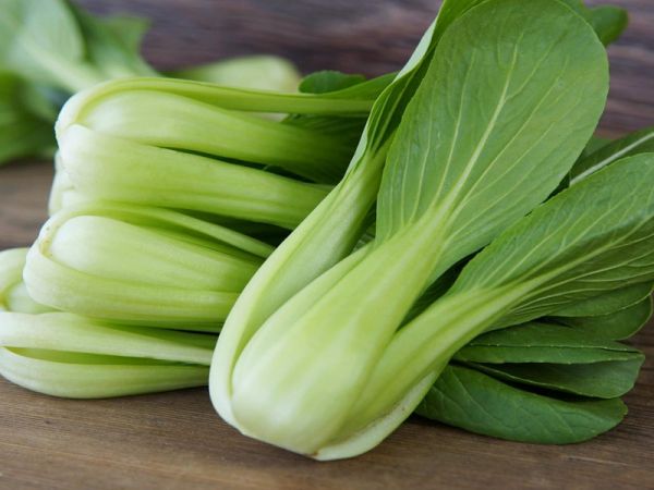 青菜的蛋白質(zhì)含量并不高