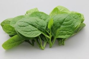 豆腐菜