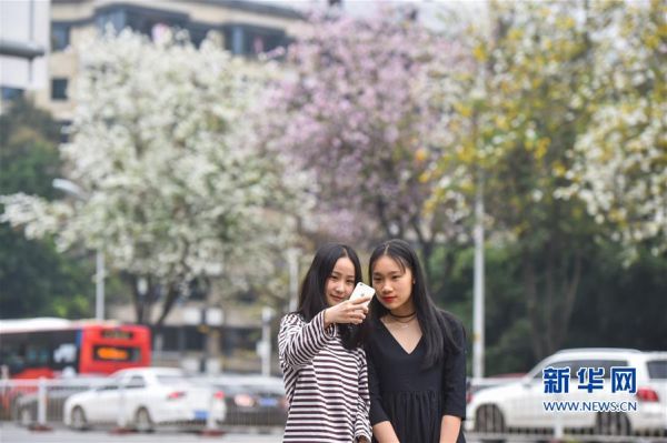 什么是注意力（指对一件事情专心投入的程度）